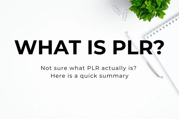 PLR Digital Products